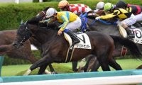 【武蔵野S予想オッズ】昨年の2着馬ソリストサンダーが予想1番人気