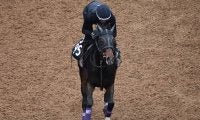 【JRA新馬戦】ソウルスターリングの全妹スタニングスターなどがデビュー
