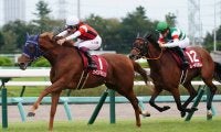 【エリザベス女王杯】出走馬の調教後の馬体重