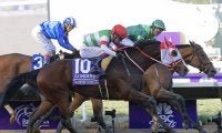 マーフィー騎手「本当に信じられません」マルシュロレーヌのBCディスタフ制覇について英メディアで回顧