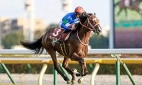 【JRA】キングエルメスが骨折、3ヶ月以上の休養へ　京王杯2歳S覇者