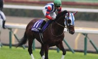 【次走】ムイトオブリガードは福島記念を回避しジャパンCへ　除外の場合はチャレンジC