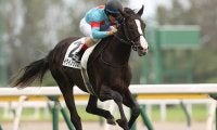 【東スポ杯2歳S想定】今年からGII昇格、新馬戦圧勝のキタサンブラック産駒イクイノックスなど13頭