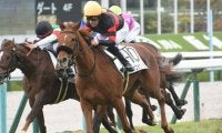 【阪神5R新馬戦結果】3番人気ホウオウバニラが押し切ってデビュー勝ち