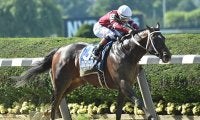 米G1馬シルバーステートが種牡馬入り、同国のクレイボーンファームで