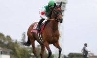 【WIN5予想】エリザベス女王杯は格の高いレースを勝っている馬に注目