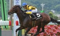 【福島記念予想】小回りコースの適性がある馬を中心視