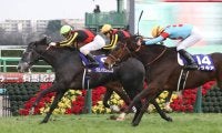 有馬記念公開枠順抽選の実施