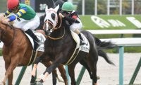 【阪神5R新馬戦結果】9番人気カレンマックナイトが3頭の接戦を制す