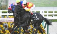 【黄菊賞結果】高額ディープ産駒ジャスティンパレスが人気に応えてデビュー2連勝