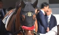 【JRA】オグリローマンの孫クリップスプリンガが予後不良に