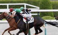 【新馬/阪神5R】カレンブラックヒル産駒 カレンマックナイトがデビューV