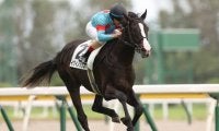 【東京スポーツ杯2歳S見どころ】2歳戦屈指の出世レースにイクイノックスら素質馬が集う