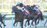 2歳戦に強い父ダイワメジャー　2歳重賞を勝てなかったのは「わずか2世代」