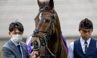【マイルCS出走馬・騎手確定】グランアレグリア＆ルメール騎手、シュネルマイスター＆横山武史騎手など16頭
