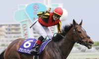 【マイルCS】出走馬の調教後の馬体重