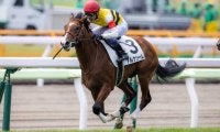 武豊騎手 今週の騎乗馬