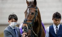 【マイルCS 調教後馬体重】グランアレグリアは504kg、シュネルマイスターは494kg