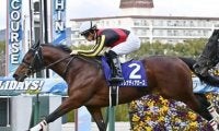 マイルCSは安泰ムード。もし「３強」の一角崩しがあるなら、代打騎乗で一発秘めるＧＩ馬