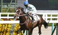 【阪神5R新馬戦結果】イスラボニータ産駒カイハオンが内から抜け出して新馬V