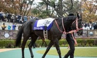 コントレイル有終Vなるか GIジャパンC/今週の競馬界の見どころ