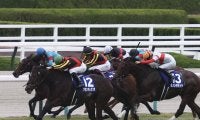 【マイルCS】横山武「勝ち馬が強かったです」レース後ジョッキーコメント
