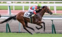 【京都2歳S登録馬】トゥデイイズザデイなど11頭