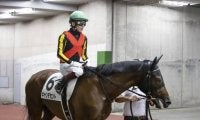 【京都2歳S展望】差す競馬で勝ち上がったあの馬に注目