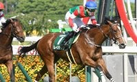【京阪杯予想オッズ】4連勝中の3歳馬レイハリアが予想1番人気