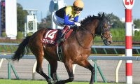 【ジャパンC展望】好メンバーでも波乱含み、あの馬の復活を期待したい