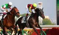 ３歳馬にはハードル高いジャパンＣ。今年のダービー馬シャフリヤールに勝機はあるか