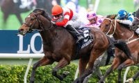 【香港スプリント 選出馬】父子2連覇を狙うダノンスマッシュ、ピクシーナイト、レシステンシアなど13頭