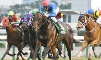 【京阪杯展望】時計が掛かるスプリント戦、注目はあの馬