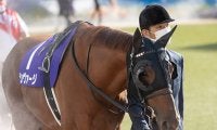 【京阪杯出走馬・騎手確定】レイハリア＆亀田温心騎手、シヴァージ＆吉田隼人騎手など16頭