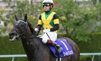 【JRA】今年の天皇賞・春などを制したワールドプレミアが電撃引退 優駿SSで種牡馬入りへ