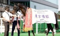【ジャパンC「見逃せない調教師」ベスト3】東京芝2400mで連対率50.0％を記録する調教師は？