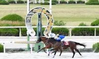 【兵庫ジュニアグランプリ】セキフウが3連勝で重賞初制覇