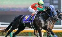 【ジャパンC予想】GI馬でも「ある条件」でバッサリ!? 牝馬、外国人騎手が優勢も…。