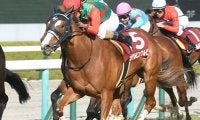 【京阪杯予想】3歳馬で大丈夫？ この時期だから考えられる「レース間隔」の重要性
