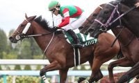 【京阪杯前日オッズ】3歳牝馬レイハリアが3.9倍で1番人気、シヴァージが続く