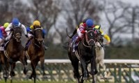 【ジャパンC予想】ジャパンCを過去10年データから探れ！ 信用度高い1番人気と前走天皇賞秋組