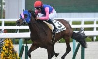 【阪神6R新馬戦結果】4番人気メイショウラナキラが4馬身差圧勝で初陣V