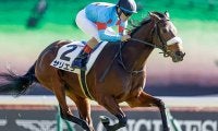 【東京6R新馬戦結果】サリオスの妹サリエラが3馬身差V、ルメール騎手は騎乗機会6連勝