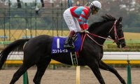 【ジャパンC・馬体重】コントレイルは456kg(-8)、シャフリヤールは446kg(-6)