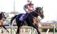 【勝負の分かれ目 ジャパンC】鞍上を感動させる走りでコントレイルが有終の美を飾る