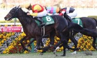 【京都2歳S】ジャスティンロックが重賞初制覇