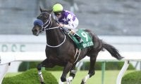 【JRA】サンライズソアがイーストスタッドで種牡馬に、2018年平安Sなど重賞2勝