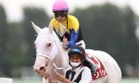 【チャンピオンズC枠順確定】連覇狙うチュウワウィザードは7枠13番、初ダートのソダシは1枠1番