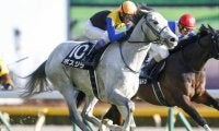 【ステイヤーズS出走馬・騎手確定】ボスジラ＆菅原明良騎手、アイアンバローズ＆石橋脩騎手など13頭