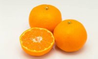 みかんの驚くべき効果効能とおいしい食べ方